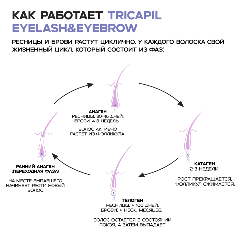 Cosmokey Tricapil eyelash&eyebrow Сыворотка для роста ресниц и бровей, 5мл